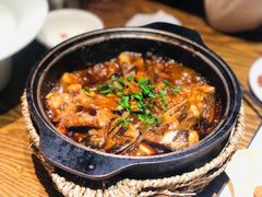 砂锅碟鱼头-双合园·海鲜水饺青岛菜(大尧三路店)
