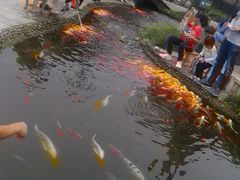 -成飞公园