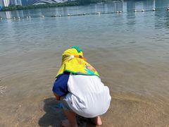 -天鹅湖体育公园