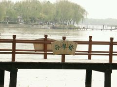 -白洋淀景区