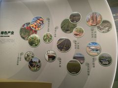 -恩格贝生态旅游区