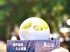 -吴山山·椰子酸奶(天河南店)