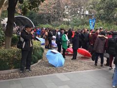 -人民公园-相亲角