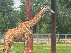 -石家庄市动物园