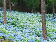 -临平公园(临平街道)