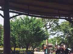 -秀丽东方
