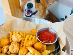 -J Create城市露营咖啡·简餐·宠物(上海动物园店)