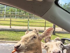 -南京金牛湖风景区