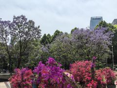 -重庆市江北嘴中央商务区中央公园