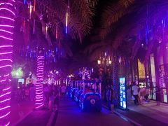 -三亚海昌梦幻海洋不夜城