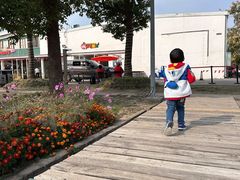 -前小桔亲子创意农场·草莓采摘·露营烧烤