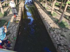 -滆湖低碳生态公园