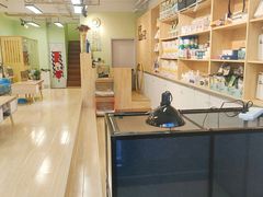-猫十亿·布偶金渐层·曼基康矮脚猫舍(青年路店)
