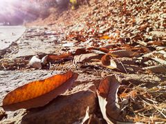 -北京西山国家森林公园