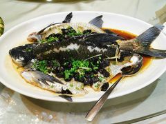 -四海酒家生态粤菜