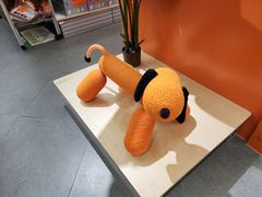 -帕帕拉兹宠物(亚洲旗舰店)