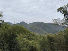 -宁波浙东大竹海景区