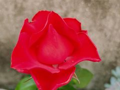 -宁波壹加壹口腔·矫正种植中心