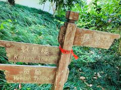 -梦姑塘文化公园