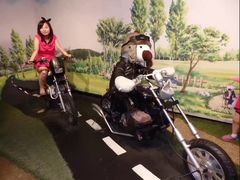 景点-济州岛泰迪熊博物馆