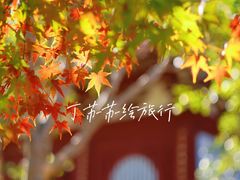 -莆田南少林寺