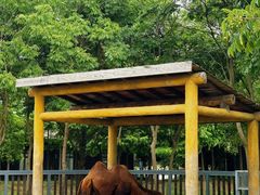 -上方山森林动物世界