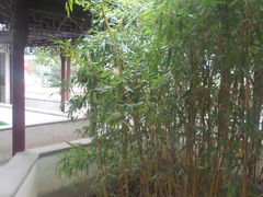 -天下玉苑