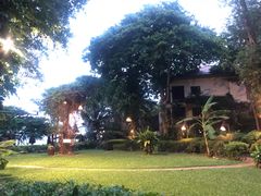 -卷心菜和避孕套餐厅(Pattaya)
