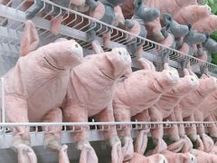 -宜家家居(哈尔滨商场店)