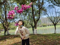 -苏州太湖国家湿地公园