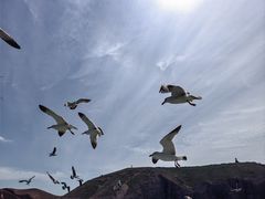 -长岛南北长山旅游景区