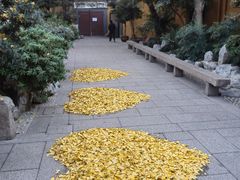 -龙华寺