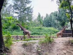 -北京野生动物园