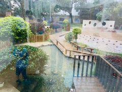 -蒙蒙狮蒙台梭利儿童之家
