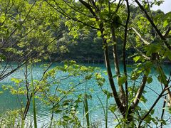 -龙坞茶村