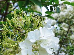 -大龙山(地铁站)