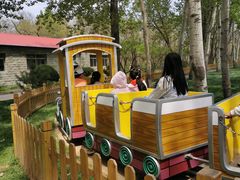 -南戴河国际娱乐中心