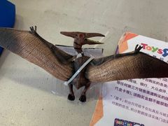 -TOYSRUS玩具反斗城(宁波和义大道店)