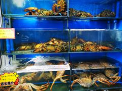 水产区-蚝专家(北滘店)