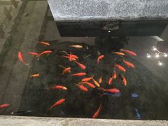 -惠中捞面