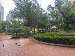 -香港佐治五世纪念公园