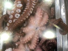 -梅子大排档