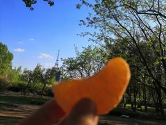 -长春公园(普阳街道)