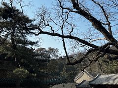 -潭柘寺景区