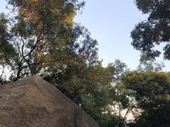-火炉山森林公园
