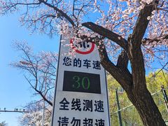 -吉林大学(南岭校区)