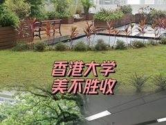 -香港大学