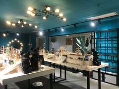 -Trend1881视光·蔡司视觉(领展广场店)