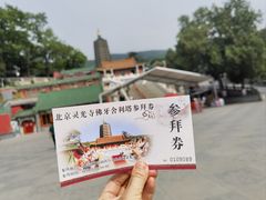 -八大处公园