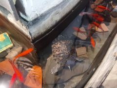 -花迹(富春江东街店)